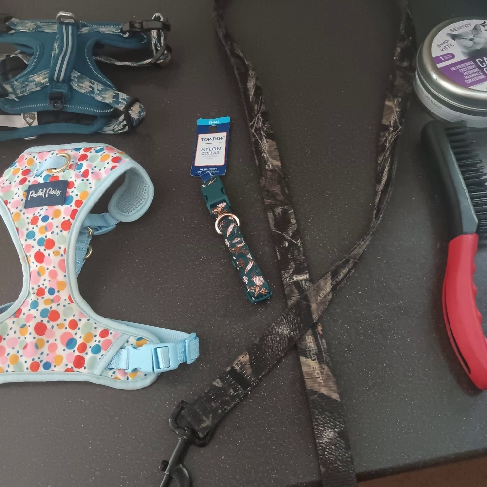 Harnesses - Picture 6 of 16